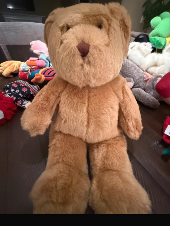 Build-A-Bear Other - Early Build A Bear Carmel Brown Bear 14" Plush Sewn Nose